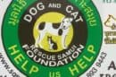 Dog And Cat Rescue Samui Foundation